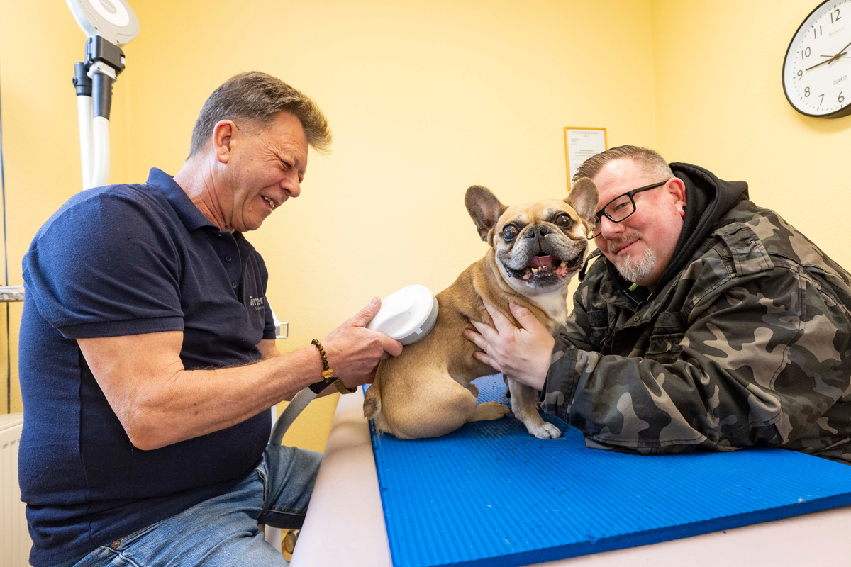 Wie-dieser-Therapeut-unsere-Hunde-in-Dresden-gesund-massiert