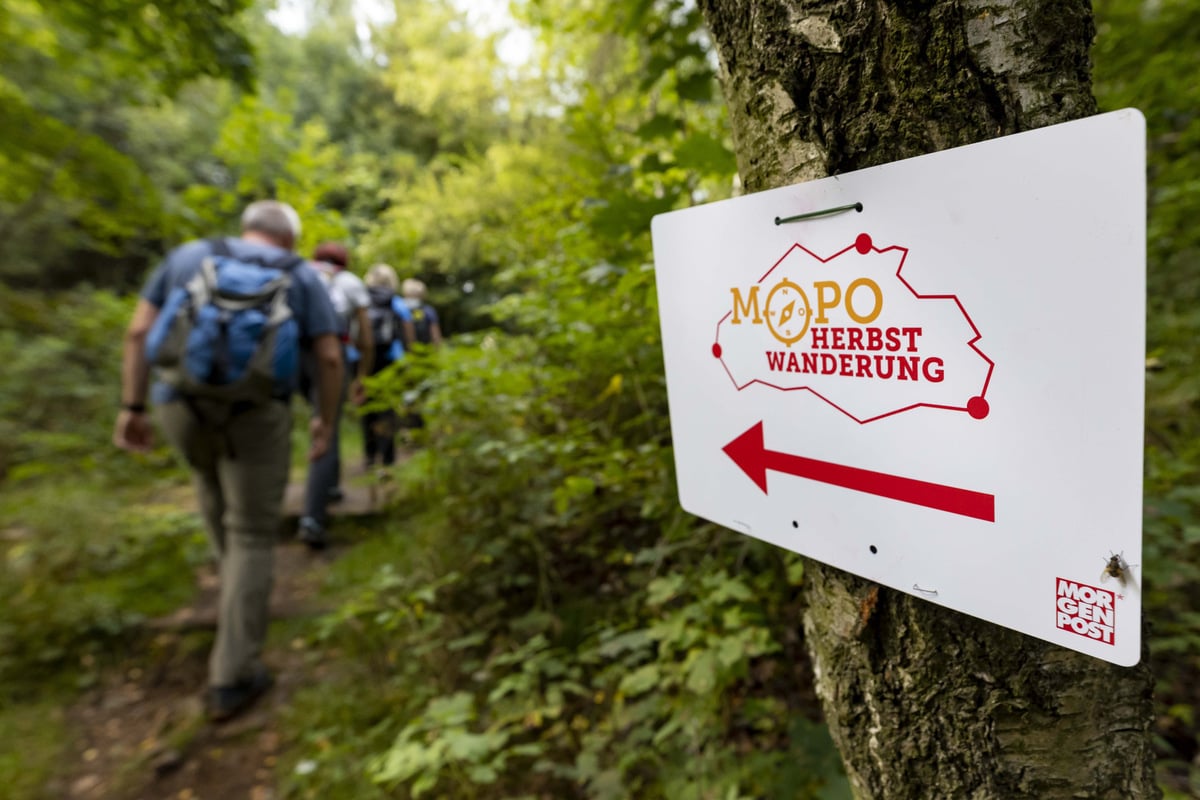 MOPO-Herbstwanderung: Tolle Panorama-Routen werden vom "Bier danach" gekrönt
