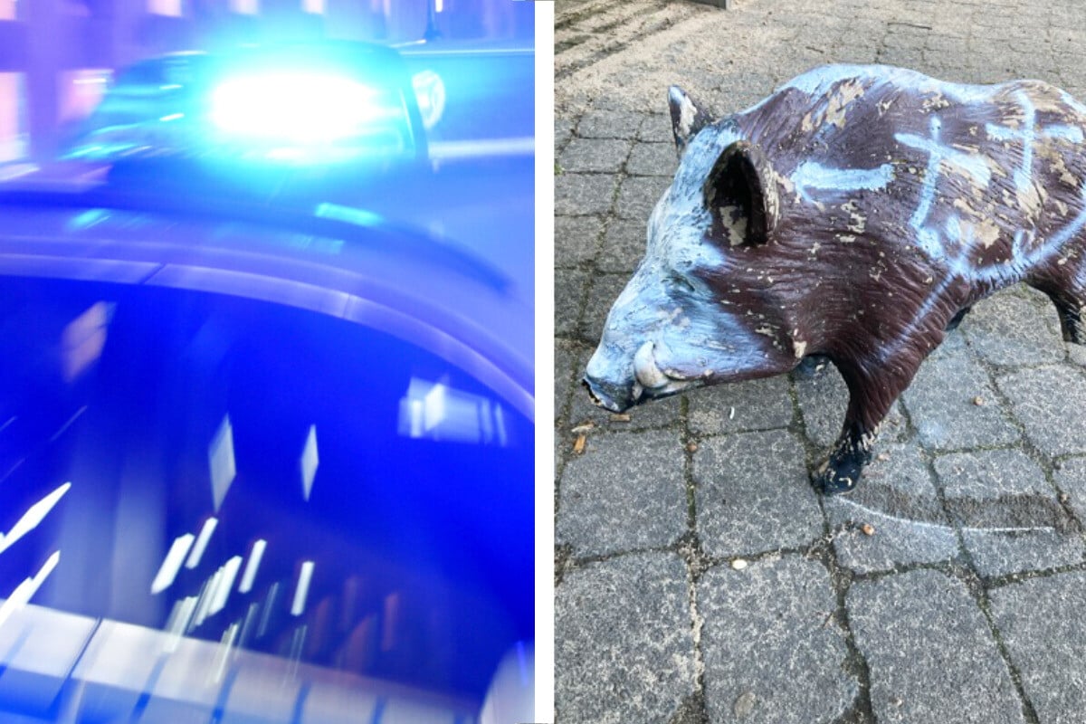 Wildschwein-Alarm in Rodgau: Doch vor Ort schmunzeln die Polizisten