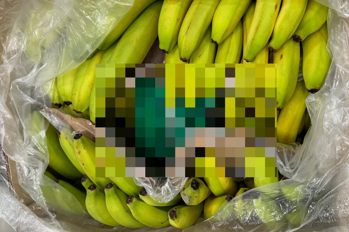 Lebensmittelhändler prüft Bananenkisten und alarmiert sofort die Polizei