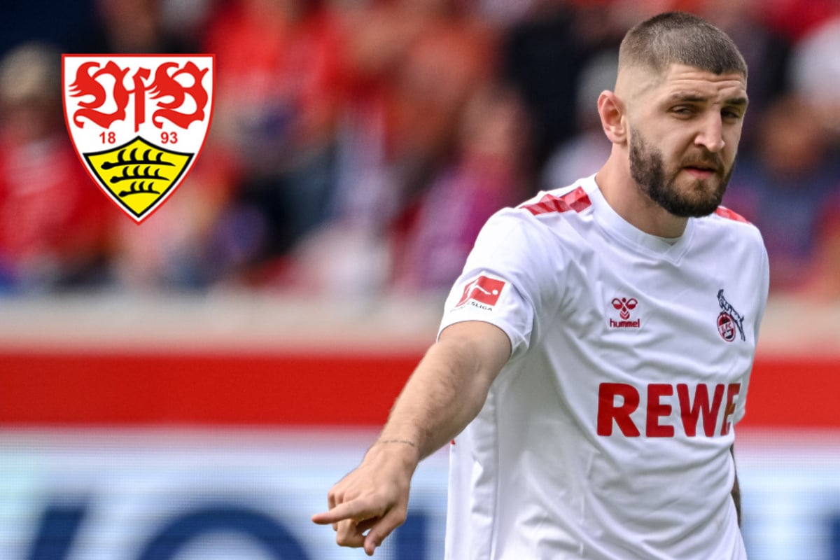 Wechsel fix VfB Stuttgart sichert sich Dienste von Kölner Abwehr Ass Jeff Chabot