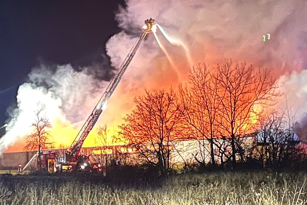 Meterhohe Flammen Baumarkt für Sonderposten im Vollbrand