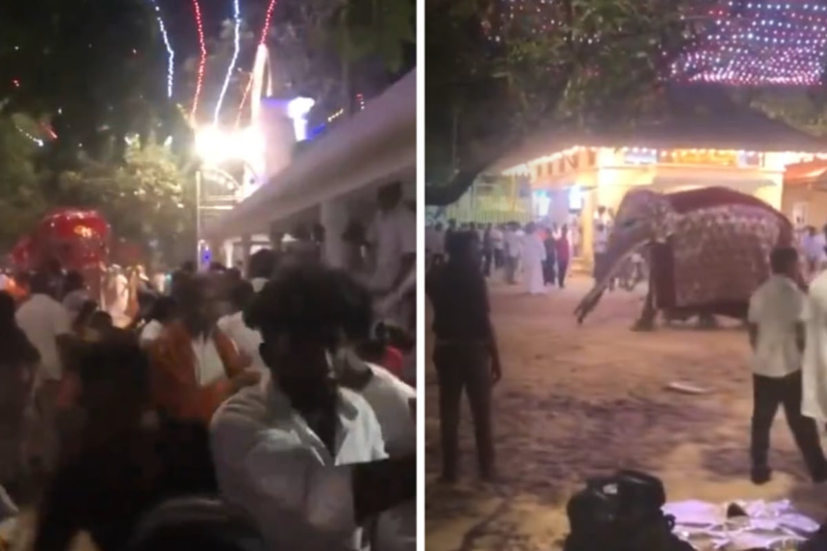 Chaos bei Tempelfest: Elefant dreht durch, Massenpanik und Verletzte
