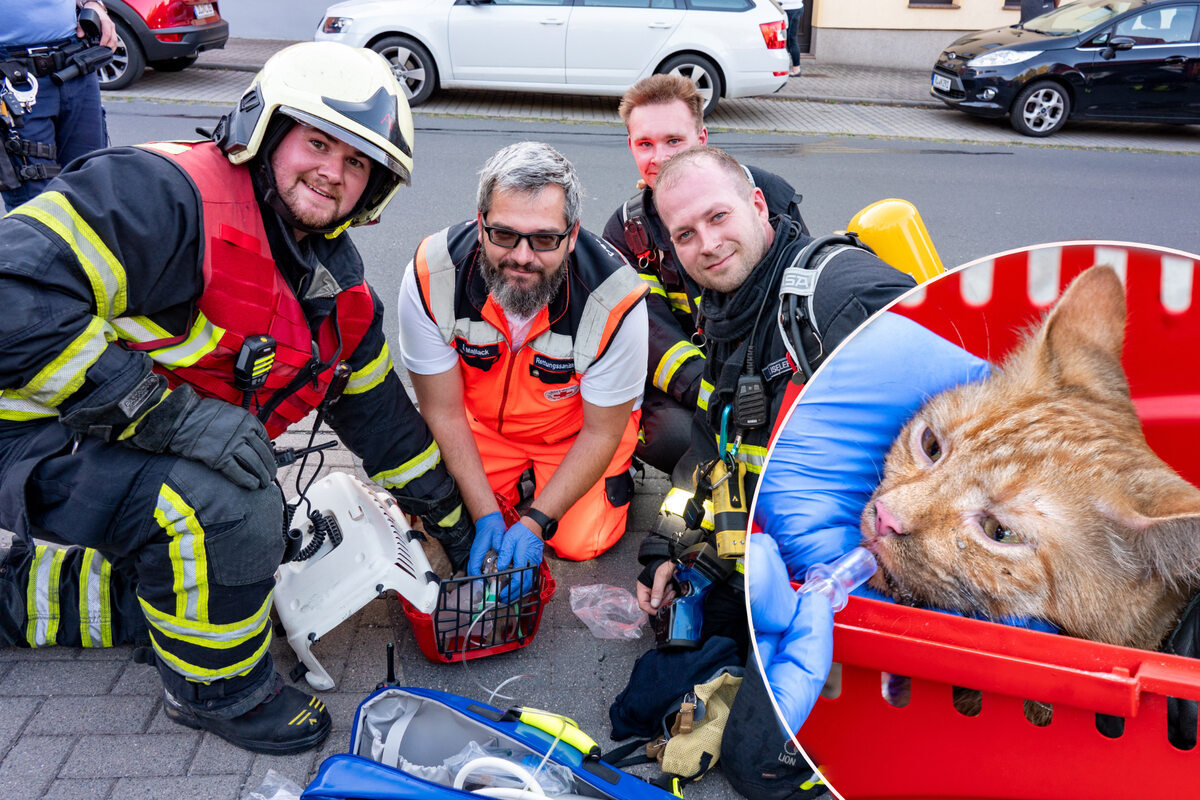 Sächsische Sanitäter retten Katze mit einer Miez-Beatmung
