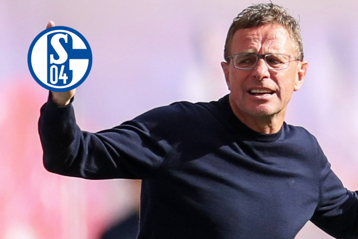 Ralf Rangnick sagt FC Schalke 04 offiziell ab! Keine Rückkehr als Sportvorstand