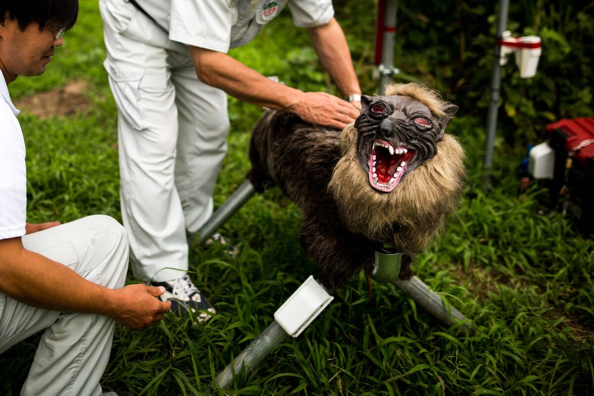 Japanese Company Invents Terrifying Robots To Scare Away Bears