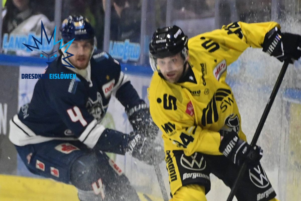 Eisl-wen-krallen-sich-einen-Aufsteiger-von-den-Pinguinen