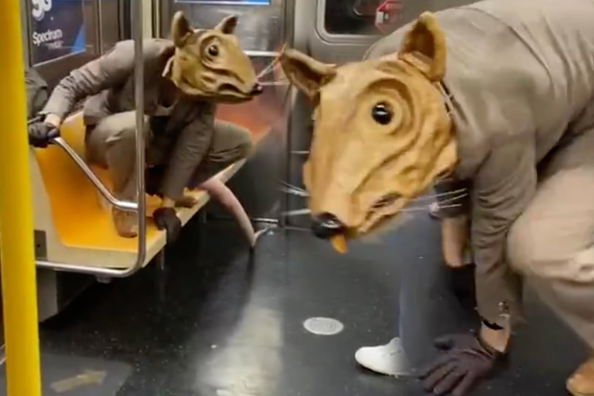 Giant rat is up to mischief in the subway New Yorkers are unimpressed