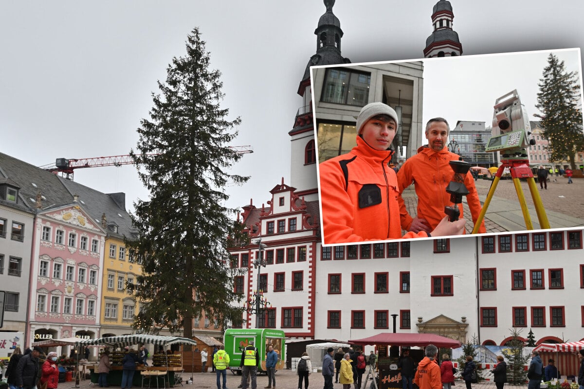 Wer hat den Längsten? Weihnachtsbaum-Vermesser in Sachsen unterwegs