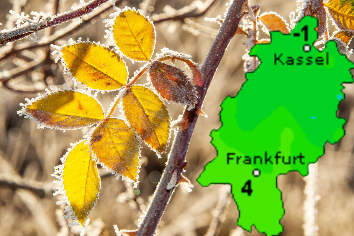 Herbst-Wetter In Frankfurt Und Hessen: Frost Bis -3 Grad Möglich