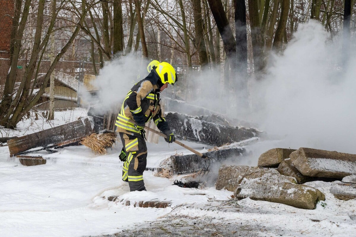 Schuppen-brennt-an-Waldorfschule-Tatverd-chtiger-ist-erst-10