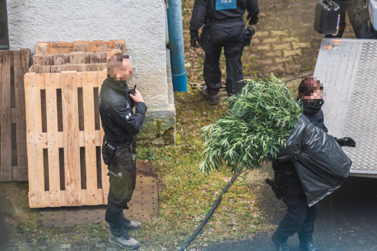 Großeinsatz Der Polizei In Greiz: Drogenplantage In Leer Stehender ...