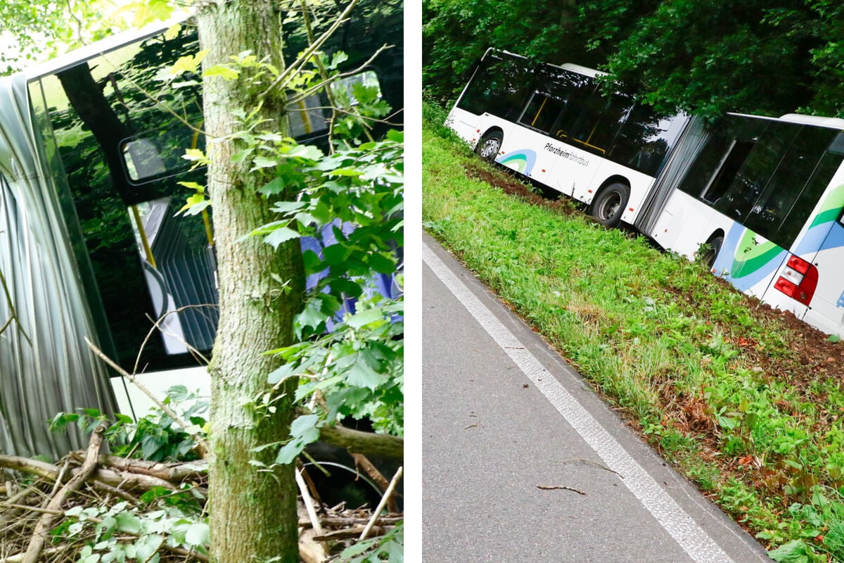 Bus schleudert in Graben: Elf Verletzte!