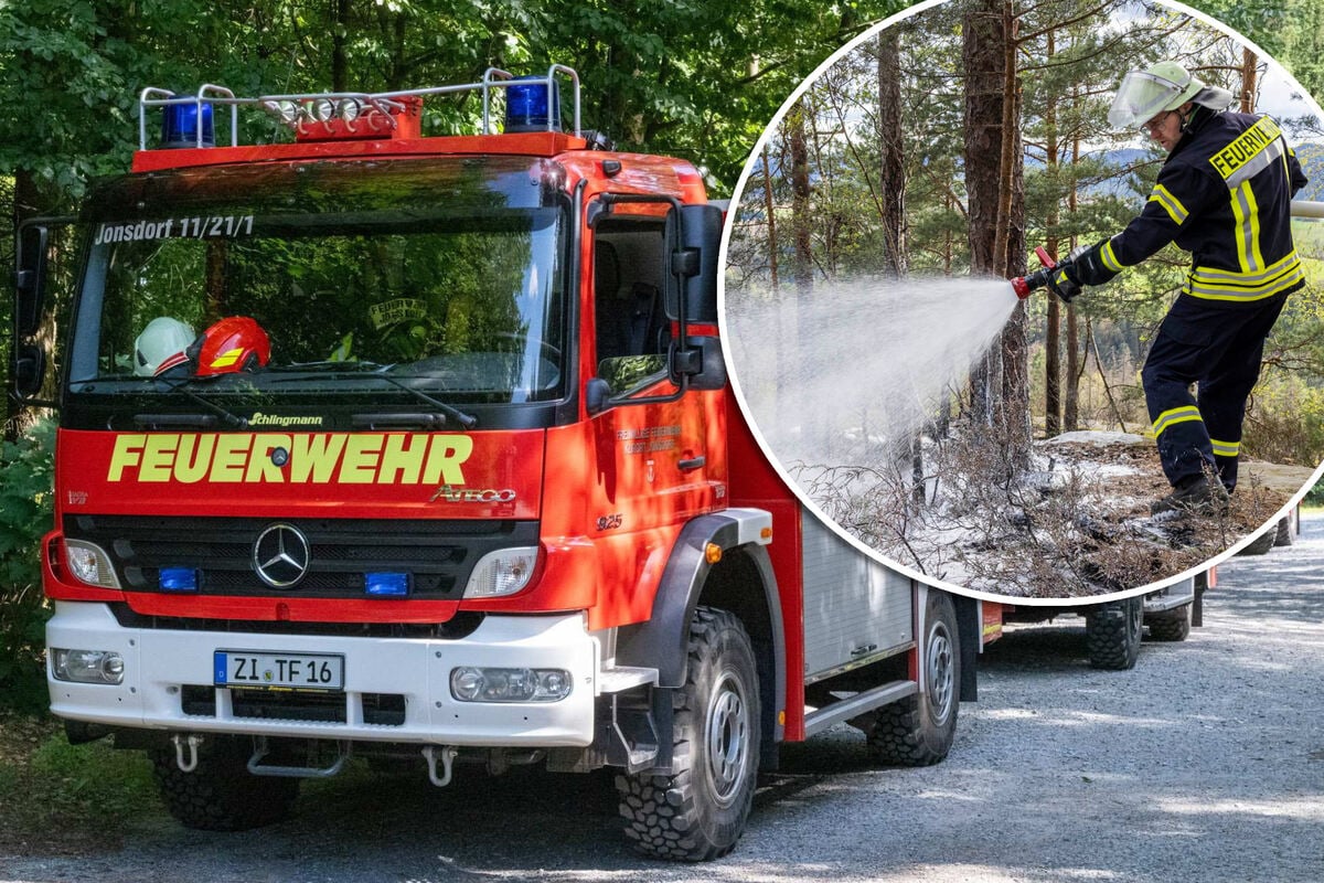 Gefährlicher Frühling! So viele Brände plagen Sachsens Wälder