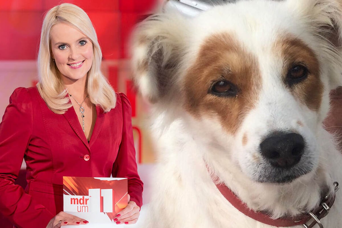 Dresden Drama um MDRStar Anja Petzold 