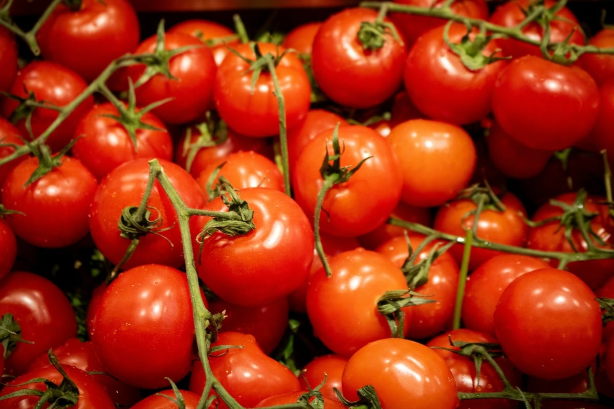 Die-Tomaten-aus-dem-K-hlschrank-schmecken-nicht-So-kannst-Du-Tomaten-lagern
