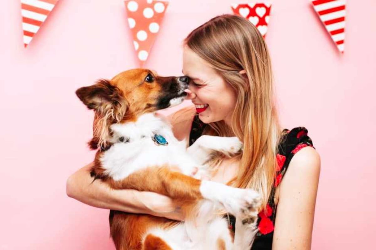 Your pet will love you even more with these amazing Chewy goodies - TAG24