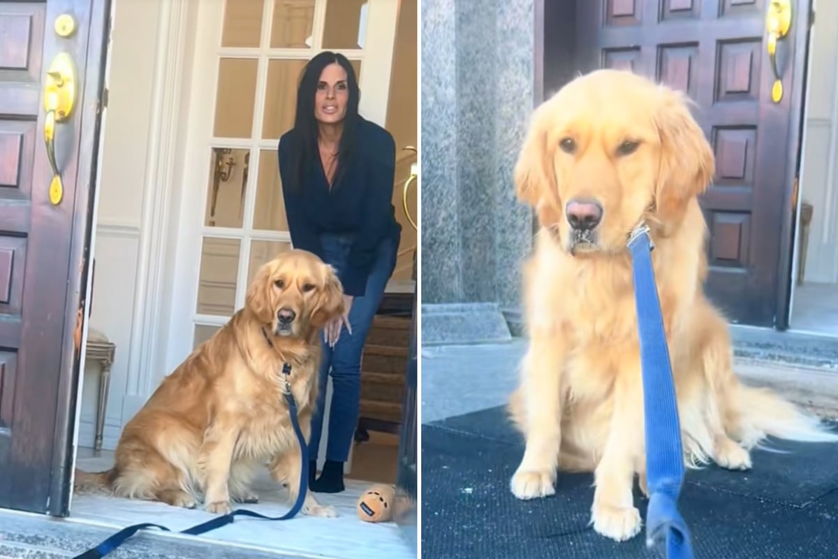 Dog refuses to leave grandma's house – then the family gets a heartbreaking explanation