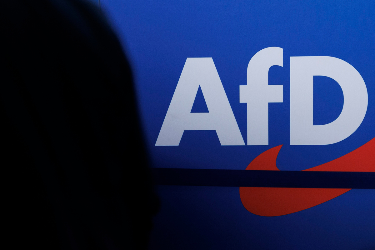 Hat AfD-Mann Philipp-Anders Rau in Pornos mitgespielt? Politiker ...