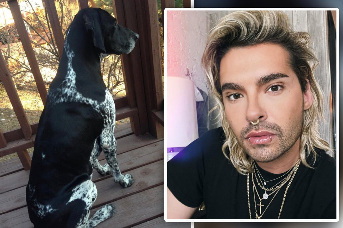 Bill Kaulitz Sicher Diese News Lässt Dich Sprachlos Zurück - 4xkv0xi