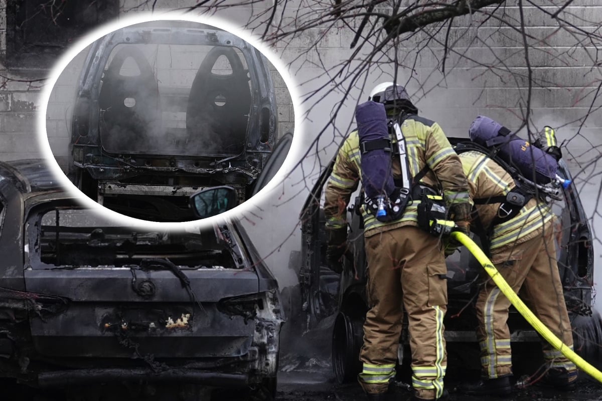 Flammen in Dresdner Gewerbegebiet: Feuerwehr verhindert Schlimmeres!