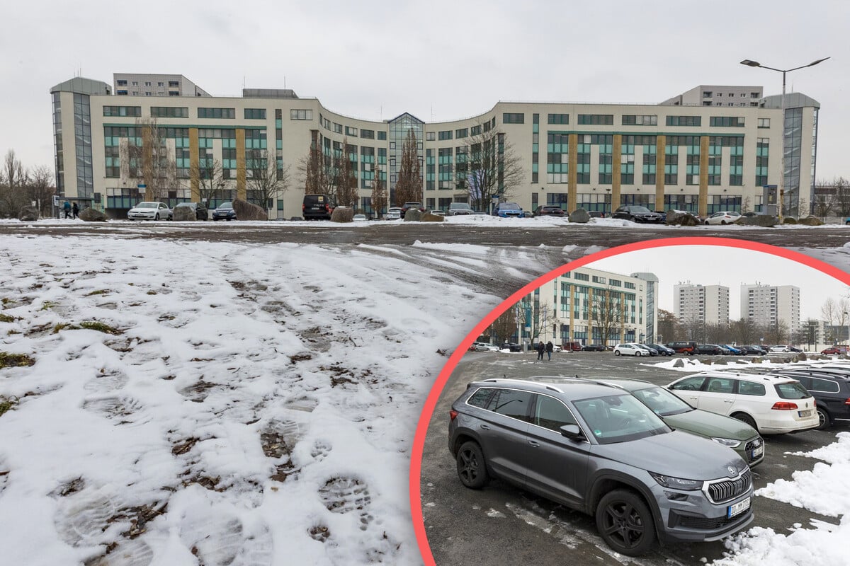 Neues-Projekt-in-Dresden-Ganzes-Wohnviertel-soll-Fahrradzone-werden