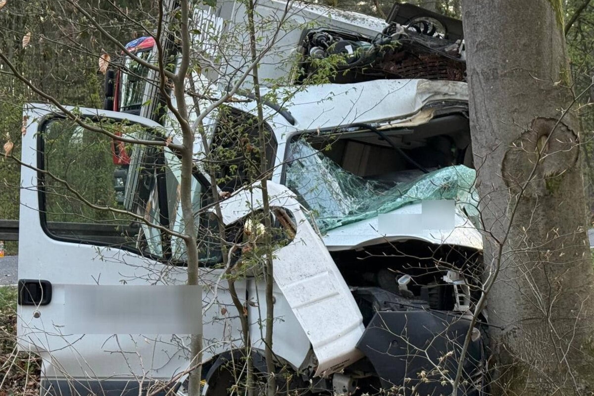 Schwerer Baum-Crash: Transporter-Fahrer stirbt noch am Unfallort