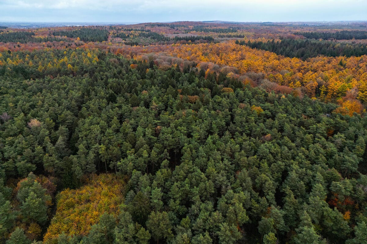 b-rger-f-llen-knappes-urteil-nrw-bekommt-keinen-zweiten-nationalpark