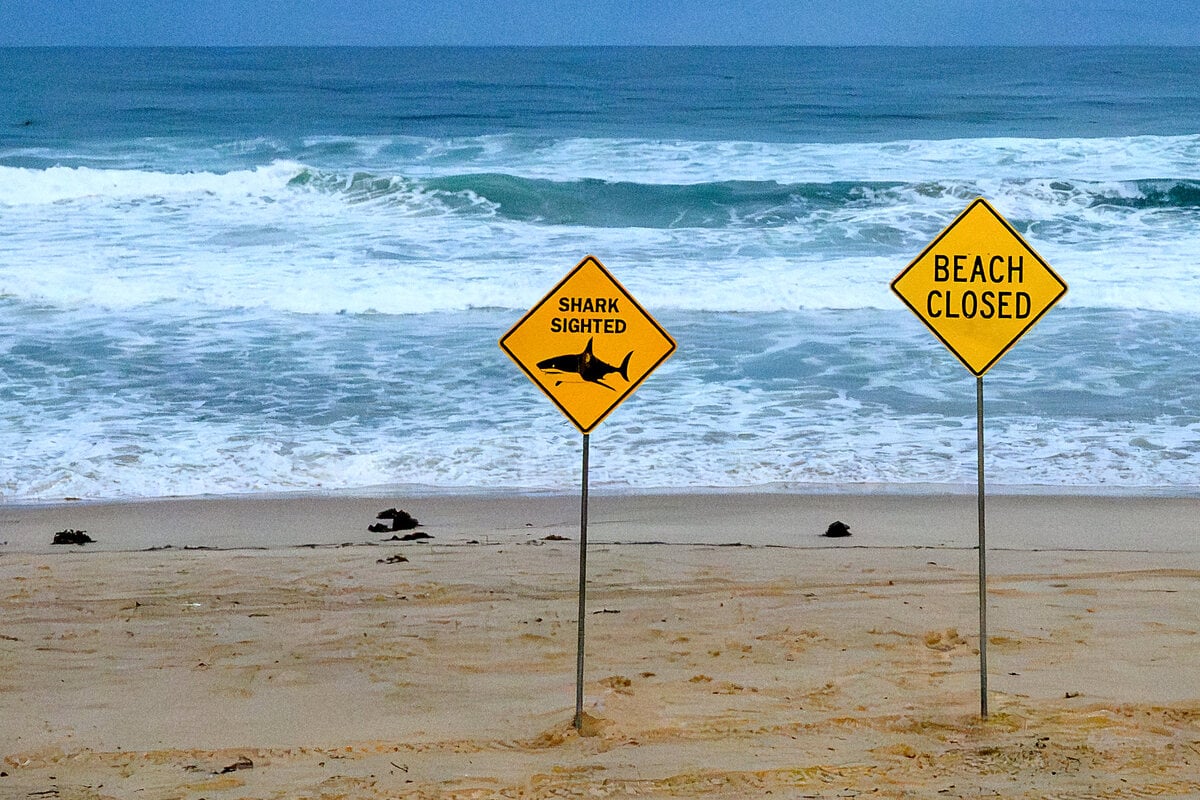 Shark kills diver off Western Australia in fourth fatal attack of 2026