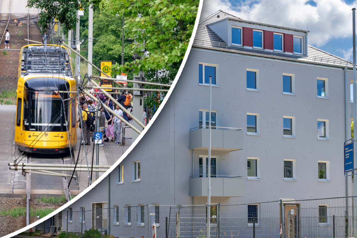 Dresden präsentiert Ergebnisse der Bürgerumfrage zur ... - TAG24