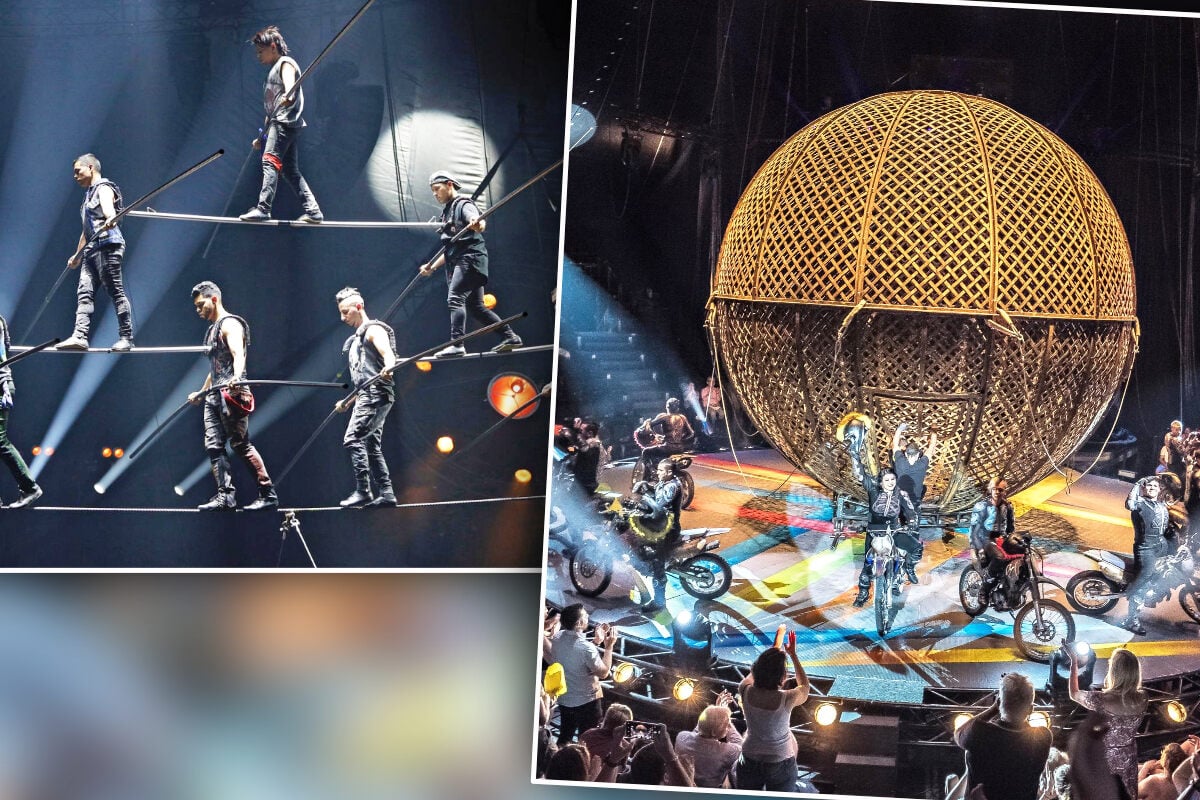 Mit "Todesrad" und "Globe of Speed": Kult-Zirkus Flic Flac kommt nach Dresden