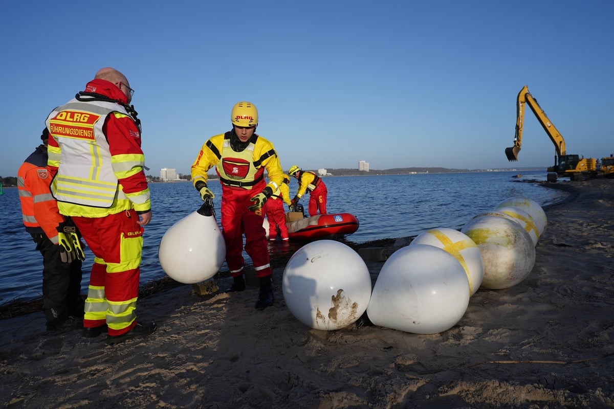 Gestrandeter Buckelwal: Wal nach Befreiung gesichtet, Boote weisen ihm den Weg