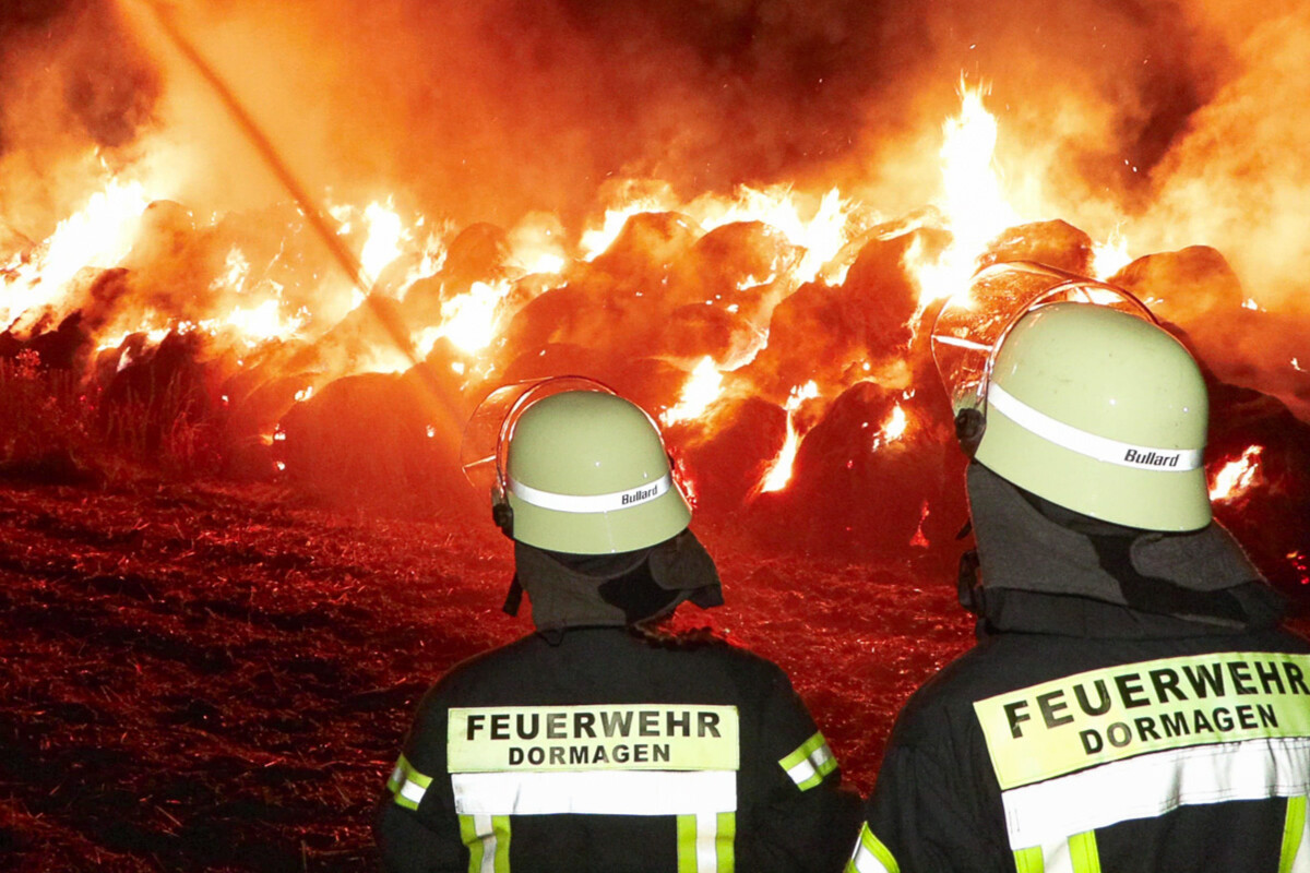 Feuerwehr kämpft gegen meterhohe Flammen: Wodurch geriet das Feld in Brand?