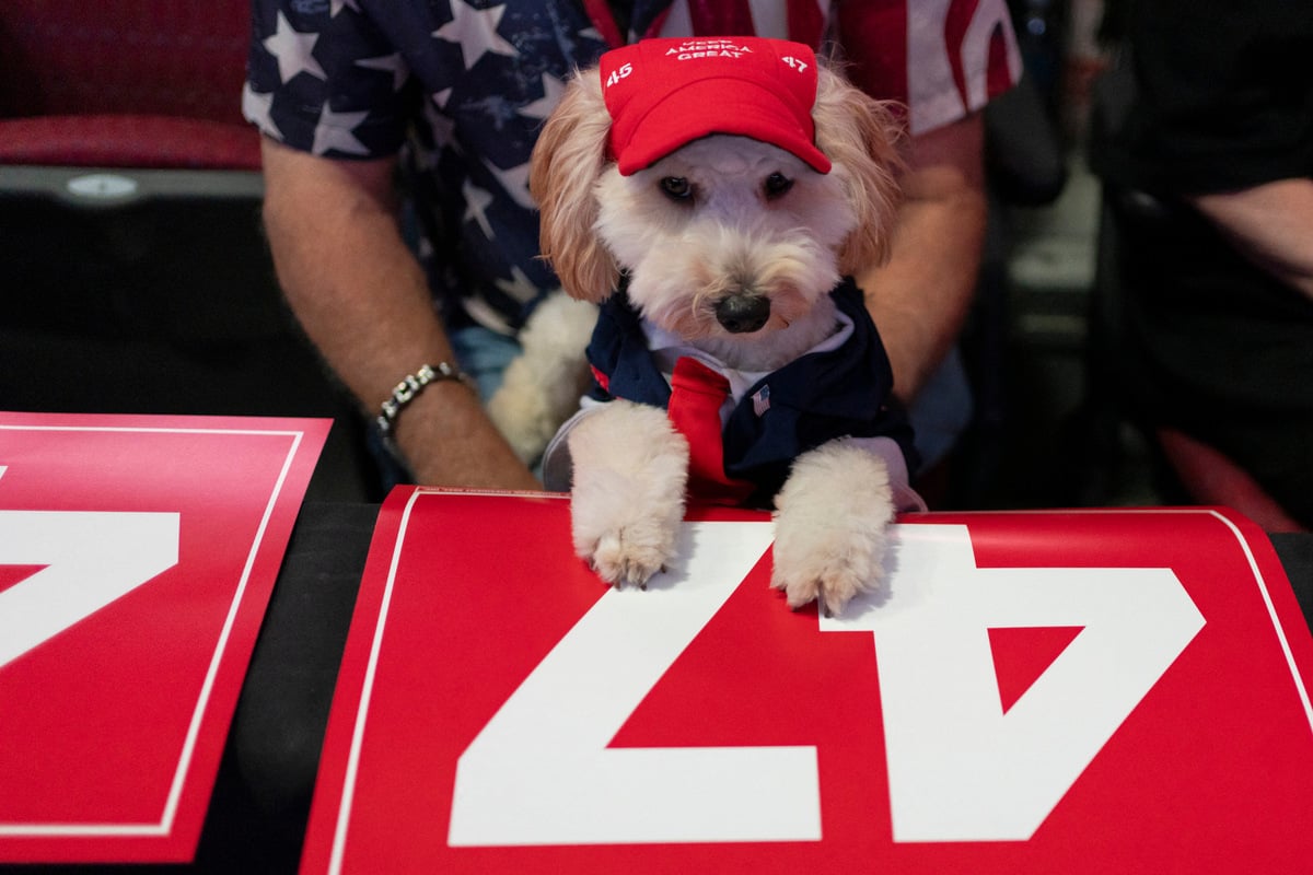 Newsom brutally trolls Trump over "dictator cosplay" at bizarre Mar-a-Lago "furry party"