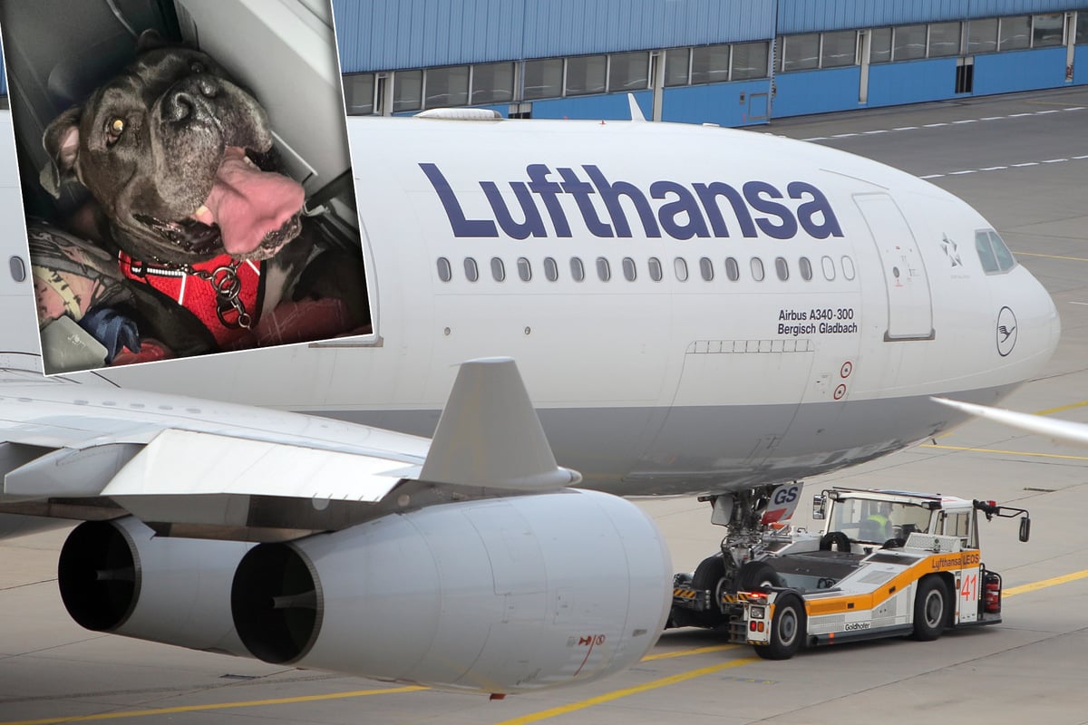 Lufthansa lässt schwerbehinderten Mann nicht ausreisen: Der Grund ist unfassbar