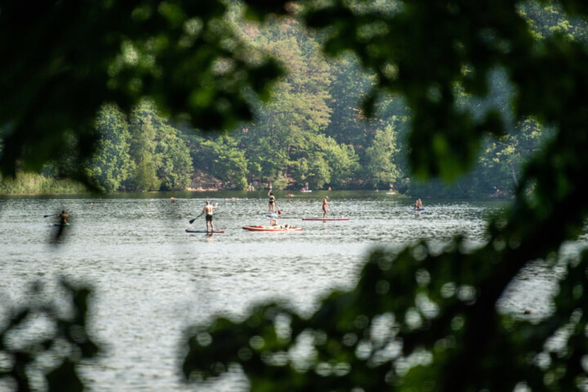 Badeunfall vermutet: Feuerwehr muss zum Schlachtensee ausrücken