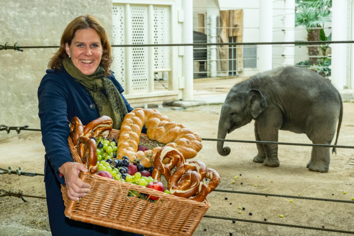Brezen für einen Elefanten: Kleiner Otto feiert ersten Geburtstag