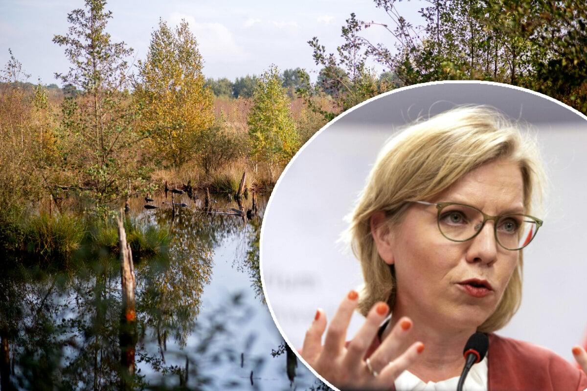 Ministerin trotzt Kanzler: Grünes Licht für umstrittenes EU-Naturschutzgesetz!