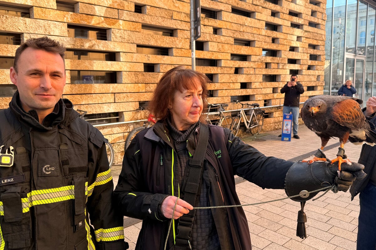 Tierischer-Arbeitsunfall-Feuerwehr-muss-Bussard-retten