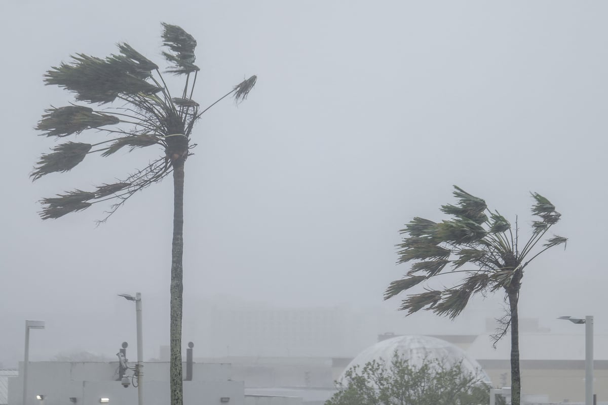 Super Typhoon Bavi hits US Pacific territories, bringing "major" damage