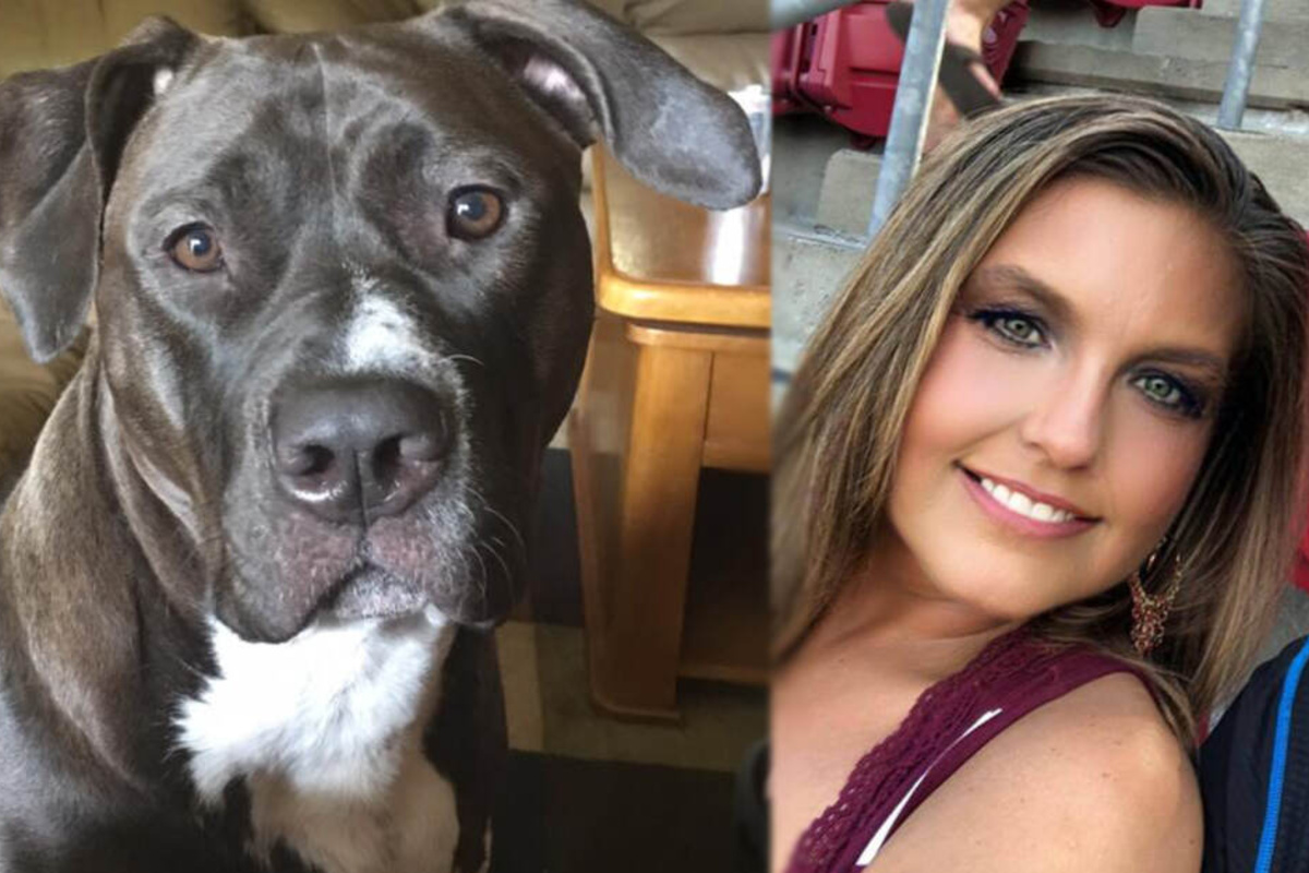Frau rettet zwei Hunde, dann wird sie von ihnen getötet TAG24