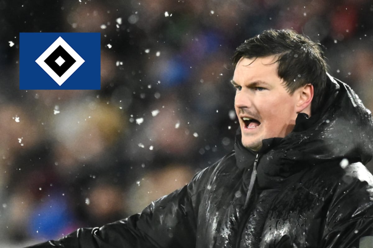 HSV-Coach-tobt-nach-Schiri-Entscheidung-Absolut-unerkl-rlich-
