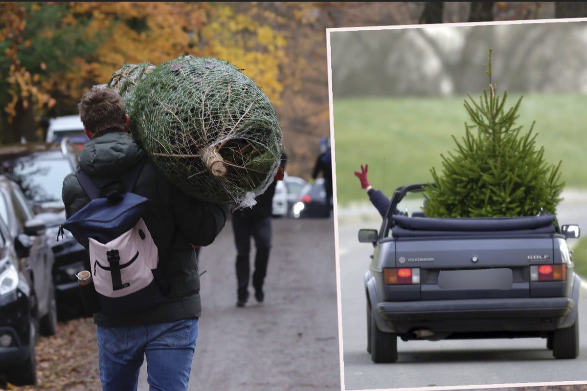 heikle-dachlast-adac-warnt-vor-fliegenden-weihnachtsb-umen