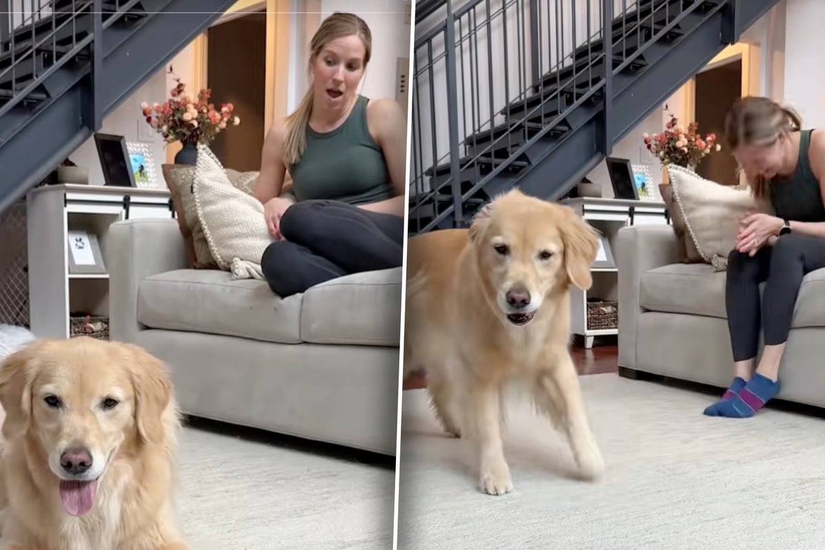 Frau-staunt-wie-Hund-auf-Song-reagiert-Was-dann-passiert-bringt-so-viele-zum-Lachen