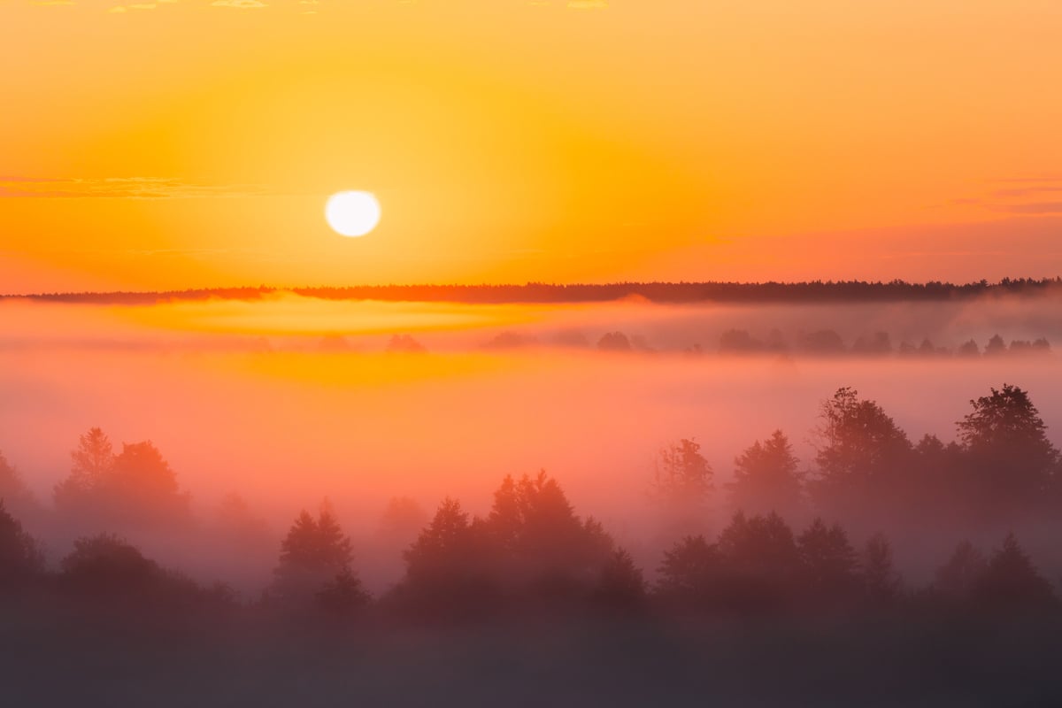 Horoskop-heute-Tageshoroskop-kostenlos-f-r-den-29-1-2026