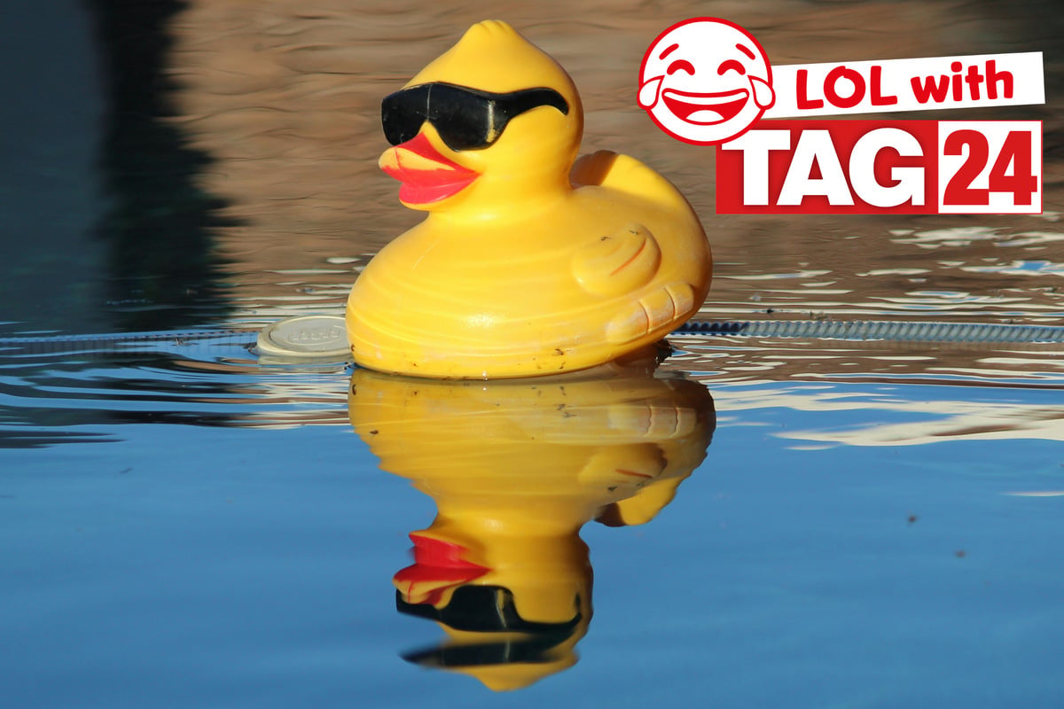 Joke of the Night for July 31, 2026: A duck chuckler