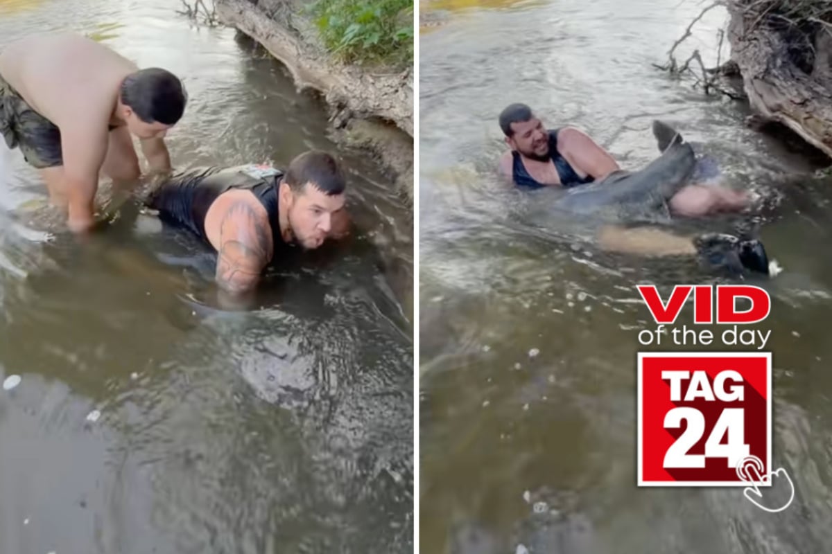 Viral Video of the Day for June 8, 2026: Man risks it all for giant catfish in jaw-dropping river stunt