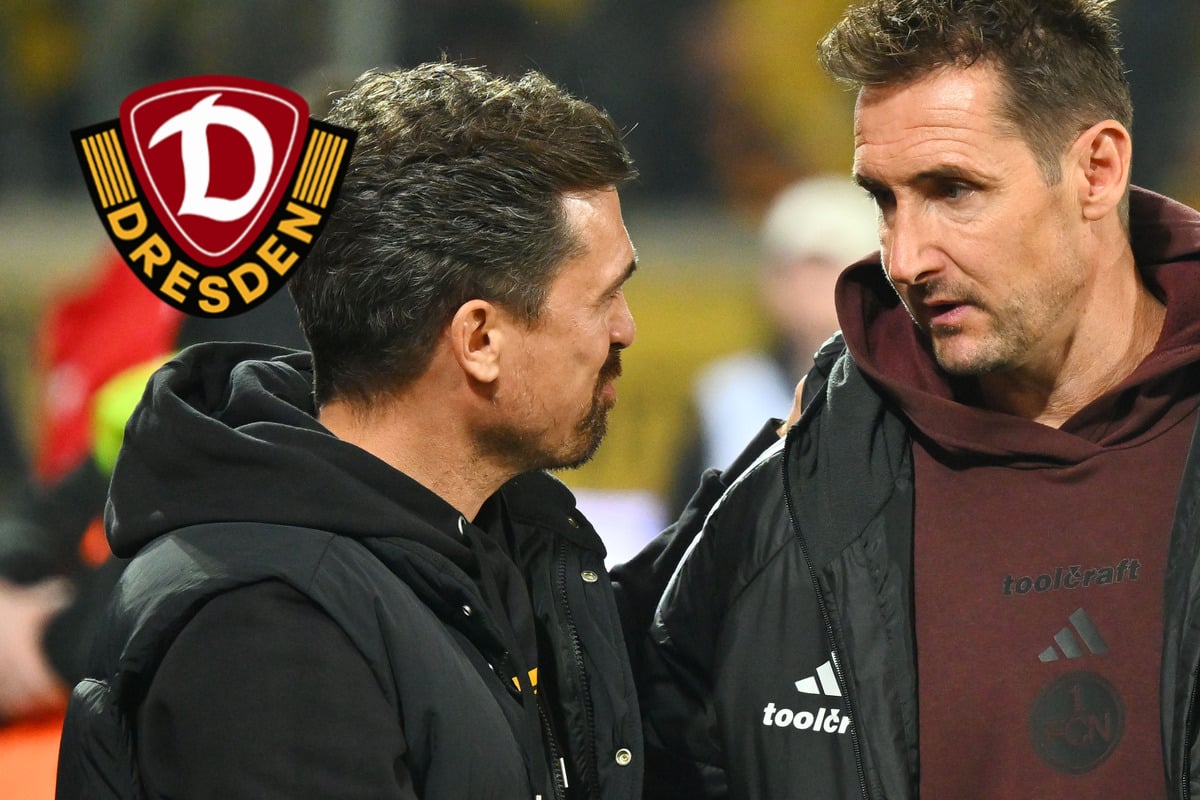 Dynamos Stamm klettert im Trainer-Ranking, nur zwei liegen n