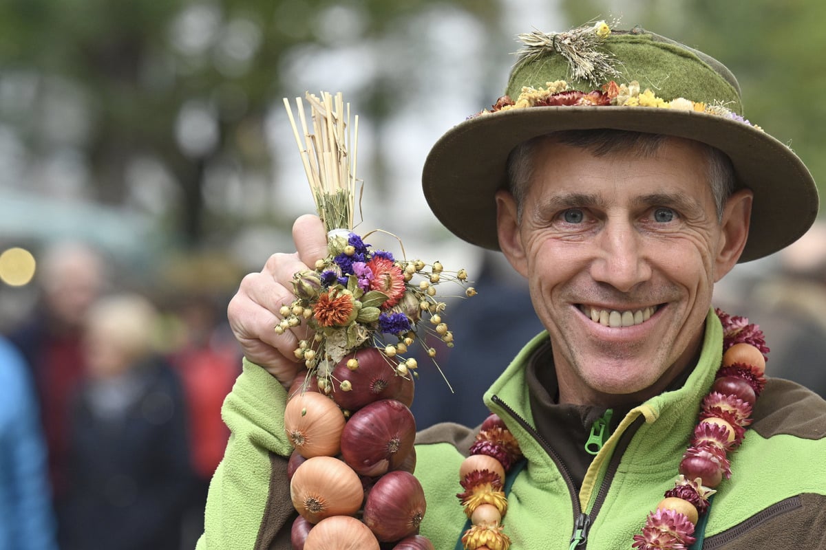 Goldener-Herbst-f-r-Th-ringens-Zwiebelbauern-Die-meisten-sind-zufrieden-