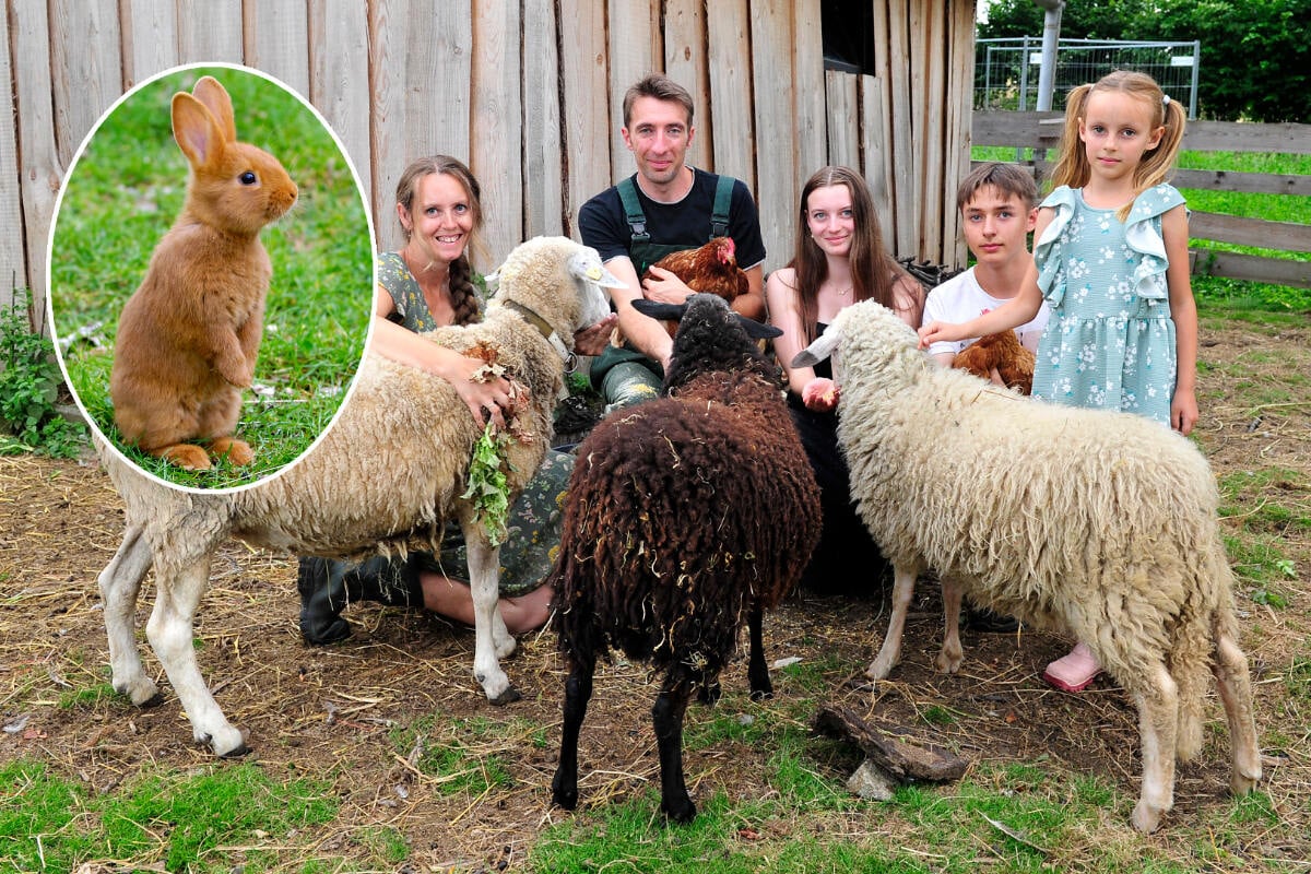 Sächsische Familie meistert riesige Aufgabe: Hier haben 400 Tiere ein Zuhause